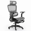 Ergonomic Office Chair Mesh Computer Desk Chair with Adjustable 6D Armrest