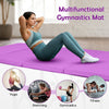 Sports Play Mat Gymnastics Mat with Carry Handles 240 x 116 x 5 cm Purple