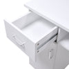 Mobile Professional Manicure Table+Dust Collector Nail Beauty Salon Station Desk