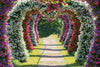 Wedding Round/Heart Arch Stand Backdrop Metal Frame Party Flower Balloons Rack
