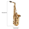 Golden Saxophone Alto Eb Flat Sax Brass Instrument with Case & Accessories Brass