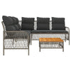 Swpsd Rattan Garden Sofa Set with Cushions 2 Pcs Patio Furniture Seating T5C3