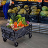 Garden Trailer Cart Heavy Duty Camping Beach Festival Trolley Foldable Wagon