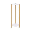 90cm Plant Stand 2/3-Tier Flower Holder Tall Side End Table with Golden Frame