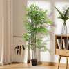 Large Artificial Bamboo Tree Indoor Home House Plant 150cm 5' 5ft Tall in Pot