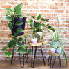 1 X Set of 3 Gamal Wood Plant Stands - Natural