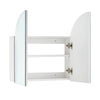 Bathroom Mirror Cabinet Multiple-Layer Height Adjustable Shelf cupboard Storage