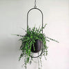 Metal Hanging Planter Basket Wall Ceiling Plant Flower Pot Holder Office Decor