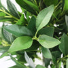 2Pcs 90cm Artificial Bay Laurel Tree with Ground Spikes, UV Resistant Fake Plant