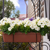 5 x Trough Plant Pot Long Plastic Planter Outdoor Garden Window Herb Flower Box