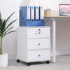 3/5 Drawer Mobile Filing Cabinets Printer Stand Pedestal Lockable Office Cabinet