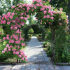 Heavy Metal Garden Arch Trellis Climbing Plants Vine Rack Outdoor Wedding Stand