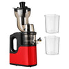 Slow Cold Press Juicer Masticating Juicer Makes Pulpy Juice Fruit DIY Ice Cream