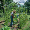 220cm Garden Arch Trellis Extra Tall Metal Tunnel Trellises Arbors with Stakes