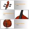 Natural Color Spruce Cello Panel with Tiger Pattern Bag Bow Rosin Strings