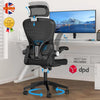 Ergonomic Office Chair, Lumbar Support Chair Adjustable Headrest High Back Black