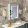 Illuminated Bathroom Mirror Cabinet With Demister LED Lights Wall Mounted