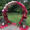 Moongate Round Wedding Arch Metal Backdrop Stand Flower Garland Frame Venue Deco