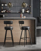 EKHO Collection - 360° Swivel Bar Stools Set of 2, LBC889B88V1