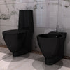 Black Ceramic Toilet & Bidet W8A1
