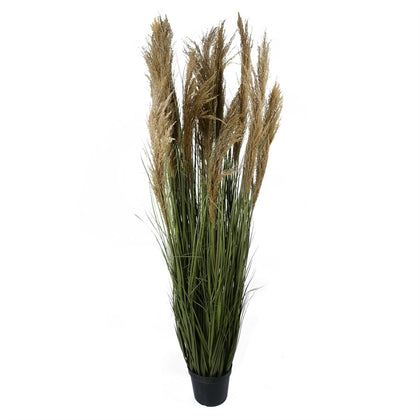 Artificial Pampas Grass Plant - HUGE 180cm 6FT
