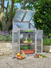 Greenhouse Cold Frame Small Garden Growing Plant Protection Germination Wooden