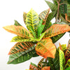 Artificial Tree Orange Yellow Codiaeum Tropical Large