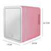 4L Mini Fridge with Light Mirror Portable Cooler Warmer Table Top Bedroom Makeup