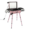 Rolling Makeup Train Case Cosmetic Trolley Organizer Travel w/LED LIght & Mirror