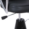 Rolling Swivel Salon Stool Chair with Back Support Adjustable Hydraulic Office