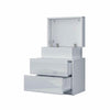 Bedside Table Cabinet 2 Drawers LED High Gloss Front Nightstand Storage Unit