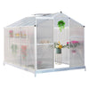 Walk In Greenhouse Garden Growing Green House with Windows Vegetables Seedlings