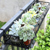 Metal Flower Holder Shelf Balcony Hanging Pots Basket Plant Garden Wall Storage