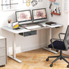 Electric Standing Desk Sit to Stand Table Height Adjustable Computer Workstation