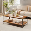 2 Tier Coffee Table with Storage Shelf Industrial Accent Tea Table Living Room