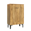 Modern 2-Door Shoe Cabinet 60x31.5x95cm Hallway Storage with Adjustable Shelves