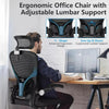 Ergonomic Office Chair, Lumbar Support Chair Adjustable Headrest High Back Black