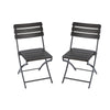2X Folding Camping Chair Festival Garden Portable Fold Seat Deck Fishing Outdoor