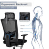 Ralex-chair Ergonomic Office Chair Back Support, Office Desk Chair, Work chair