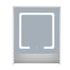 Bathroom Cabinet With LED Light Mirror Storage Unit Touch Switch 2 Shelf Hanger