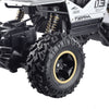 4WD Remote Control Drift Car Buggy Off-Road High Speed Truck Toys Gift for Kids