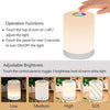 LED Night Light, Smart Bedside Table Lamp, Touch Control Dimmable USB Recharged