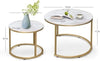 Round Coffee Tables, Removable Set of 2 End Table with Gold Metal Frame Legs