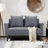 2 Seater Sofas Grey Fabric Upholstered Loveseat Couch with 2 Pillows Home Office