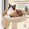 Plush Condo Activity Center for Indoor Cats 164 cm Multi-level Cat Tower