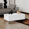Wooden Lift Up Top Coffee Table With Storage Shelf Living Room Home Office White