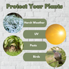 Greenhouse Cold Frame Small Garden Growing Plant Protection Germination Wooden