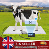 Digital Animal Scale Floor Scale Livestock Pet Scale Veterinary Scale 500kg Load