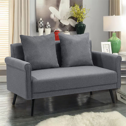 2 Seater Sofas Grey Fabric Upholstered Loveseat Couch with 2 Pillows Home Office