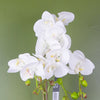 White Artificial Orchid Plant Gold Pot 54cm Real Touch Petals